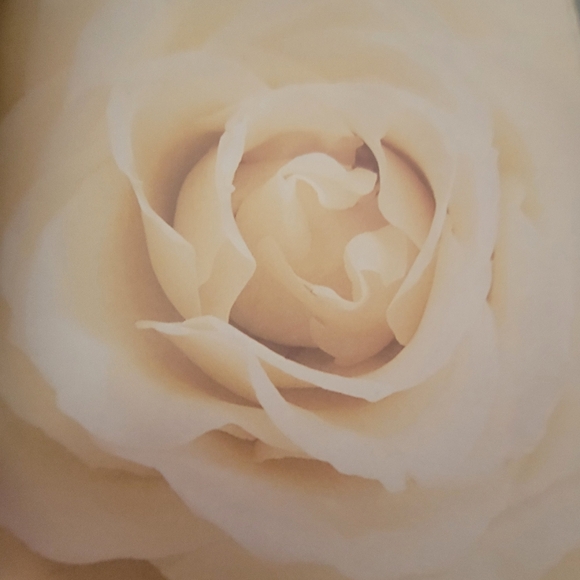 Furio Home Wedding Scrapbook Acid Free Archival Album 12 x 12 New in Package - Picture 10 of 16